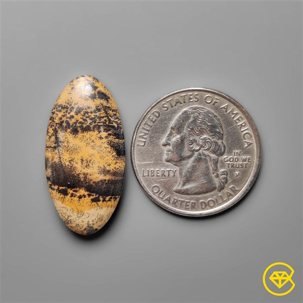 Sagebrush Jasper