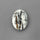 Astrophyllite