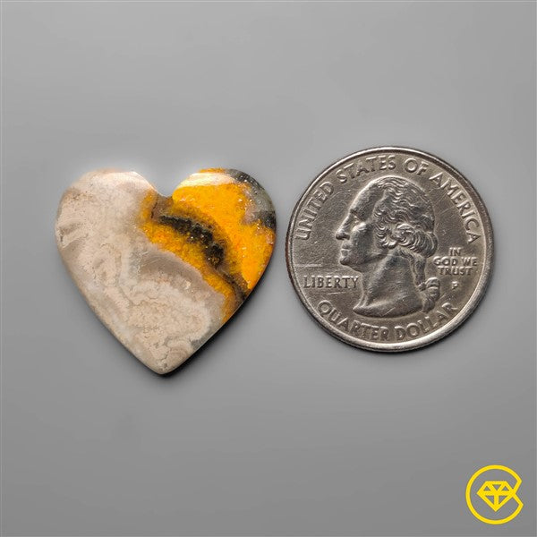 Bumble Bee Jasper