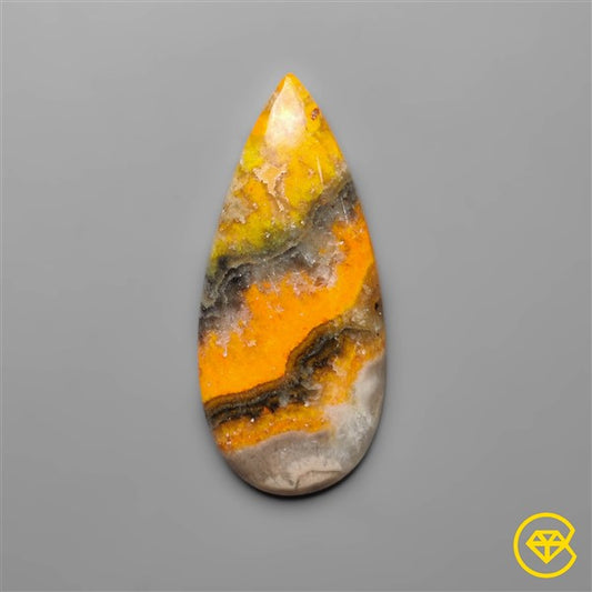 Bumble Bee Jasper