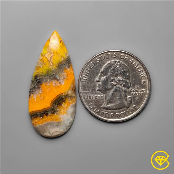 Bumble Bee Jasper