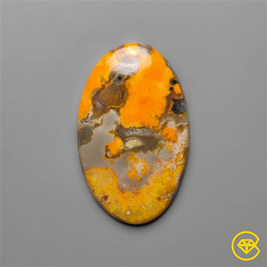 Bumble Bee Jasper