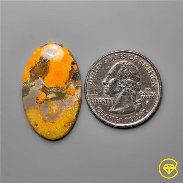 Bumble Bee Jasper