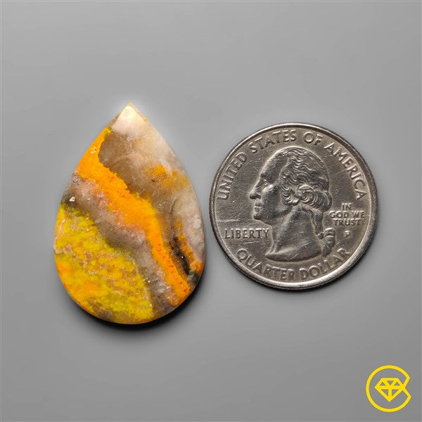 Bumble Bee Jasper