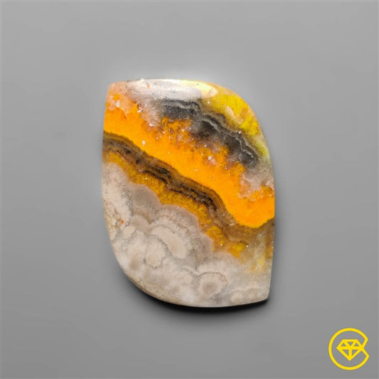 Bumble Bee Jasper