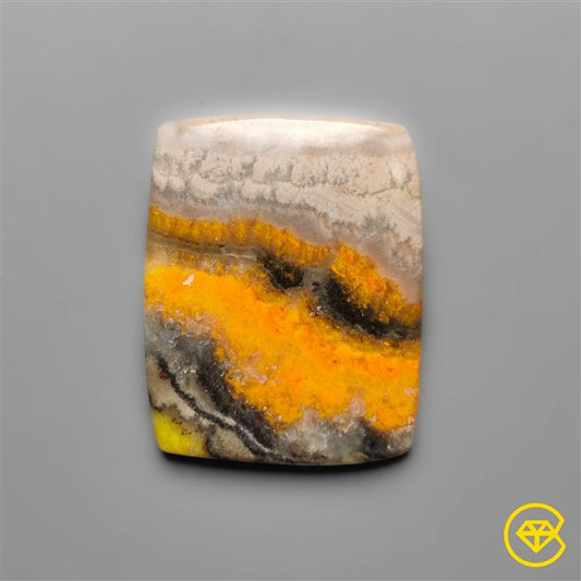 Bumble Bee Jasper