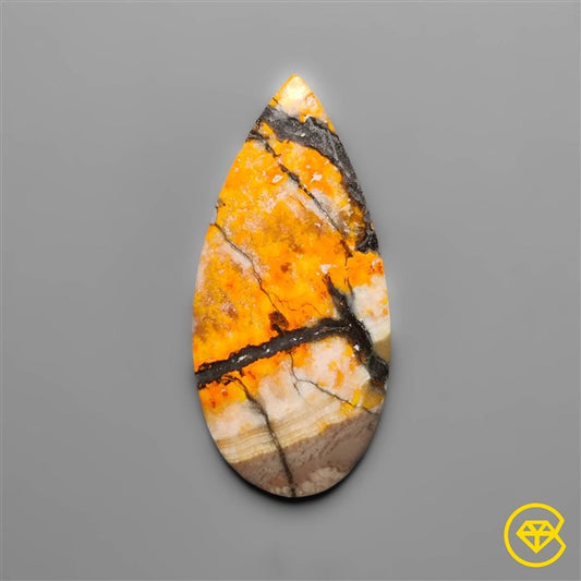 Bumble Bee Jasper