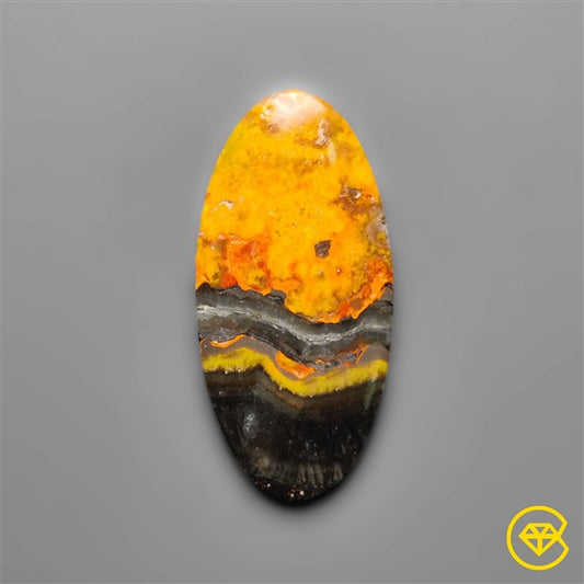 Bumble Bee Jasper