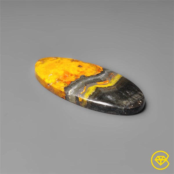 Bumble Bee Jasper