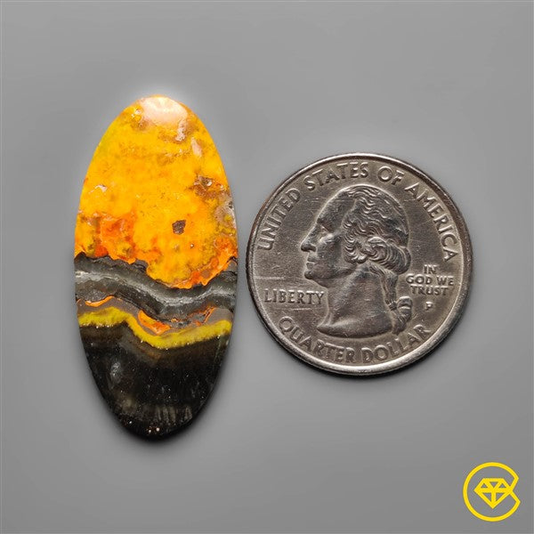 Bumble Bee Jasper