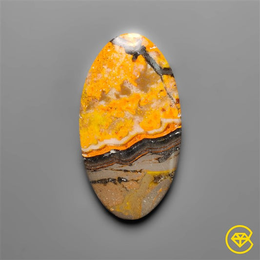 Bumble Bee Jasper