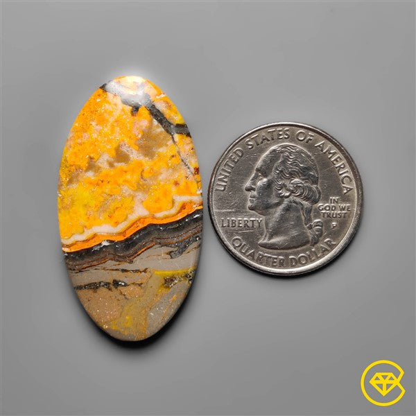 Bumble Bee Jasper