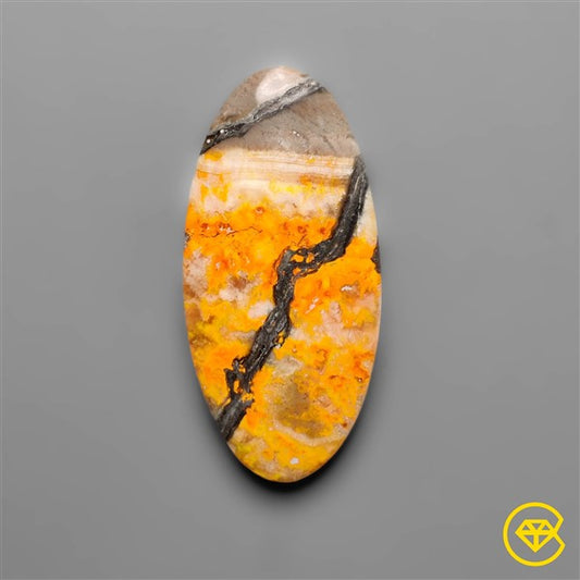 Bumble Bee Jasper