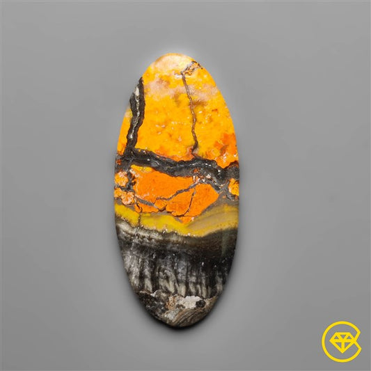 Bumble Bee Jasper