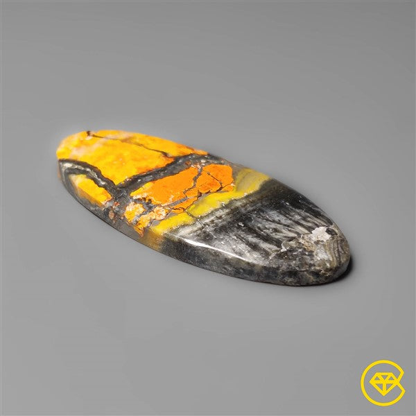 Bumble Bee Jasper