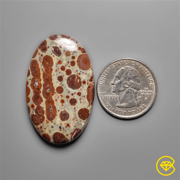 Asteroid Jasper