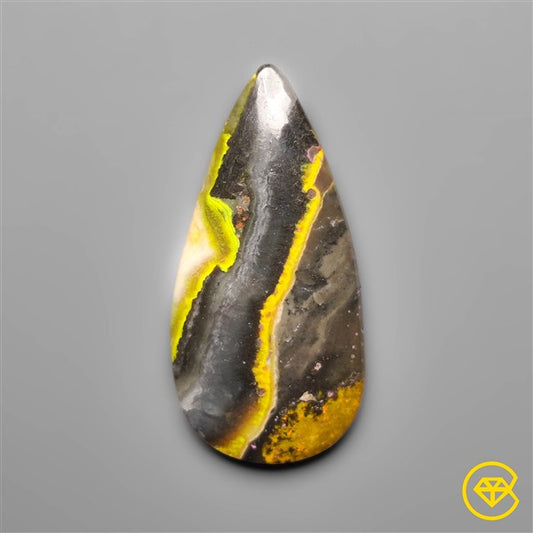Bumble Bee Jasper