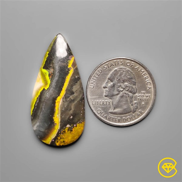Bumble Bee Jasper