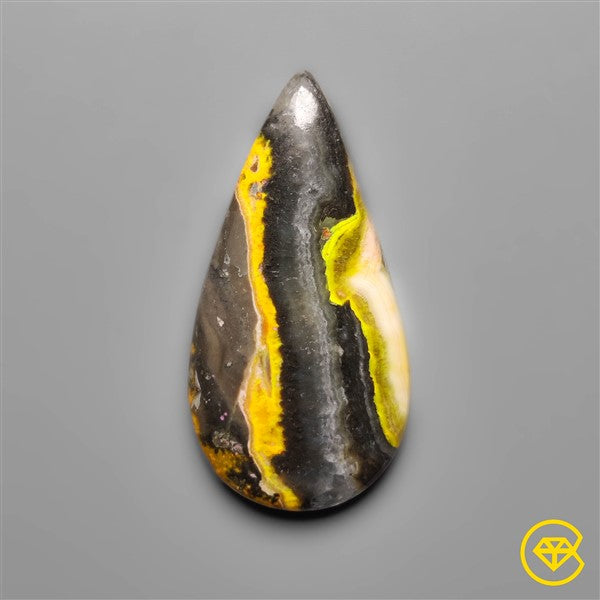 Bumble Bee Jasper