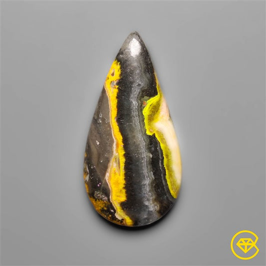 Bumble Bee Jasper