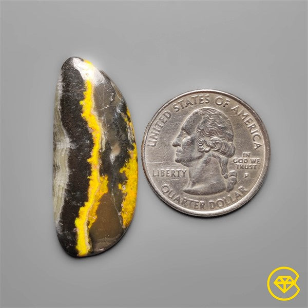 Bumble Bee Jasper