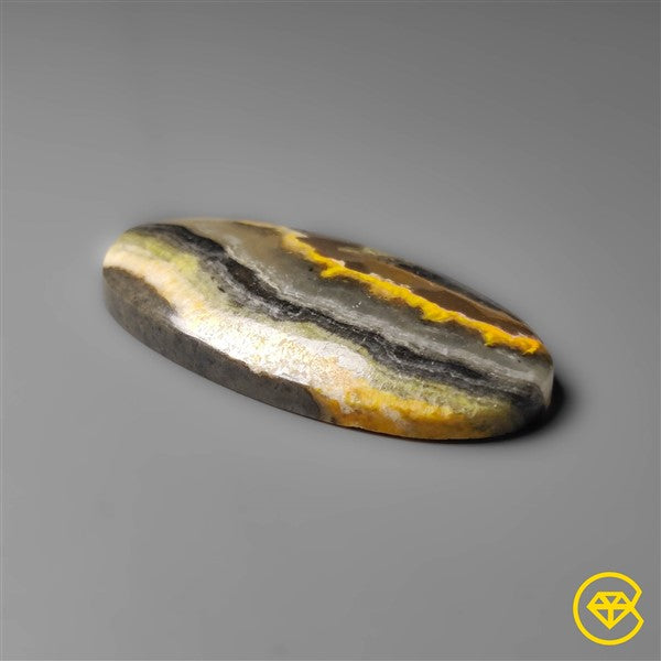 Bumble Bee Jasper