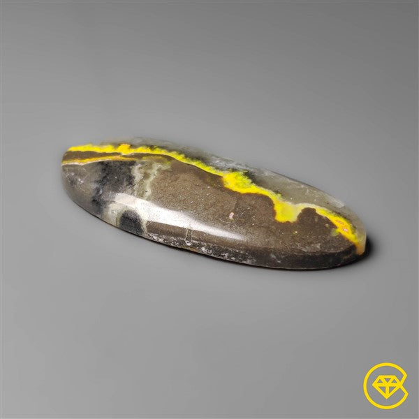 Bumble Bee Jasper