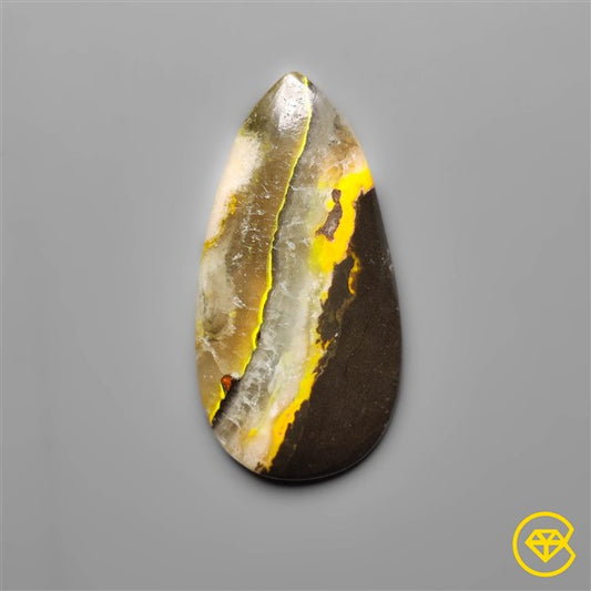 Bumble Bee Jasper
