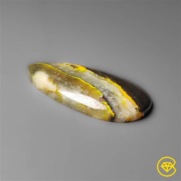 Bumble Bee Jasper
