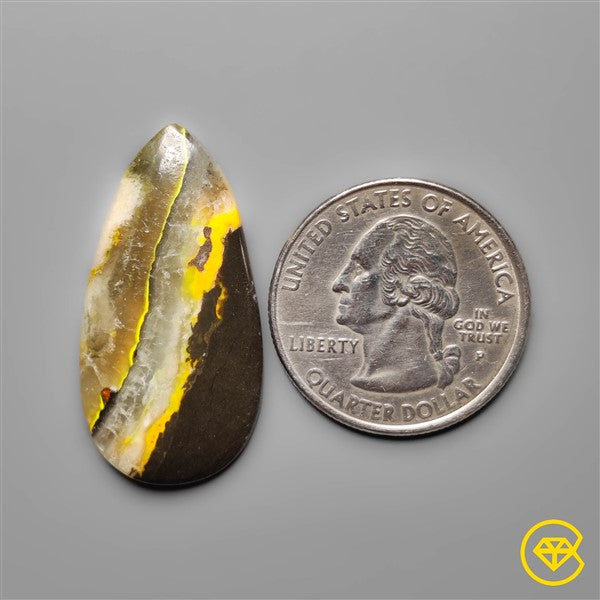 Bumble Bee Jasper