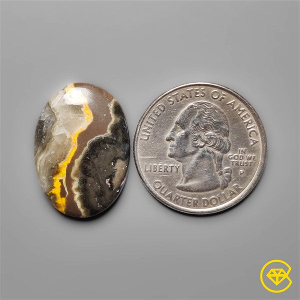 Bumble Bee Jasper