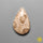 Fossil Coral