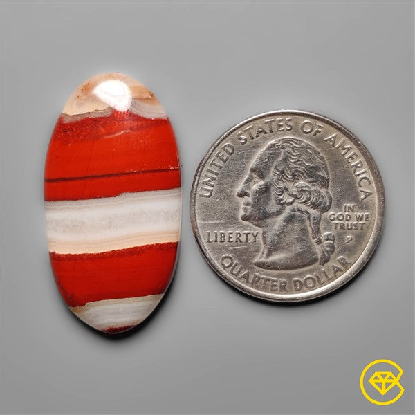 Snakeskin Jasper