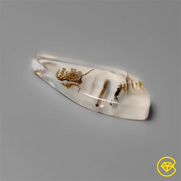 Scenic Agate
