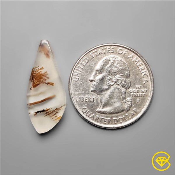 Scenic Agate