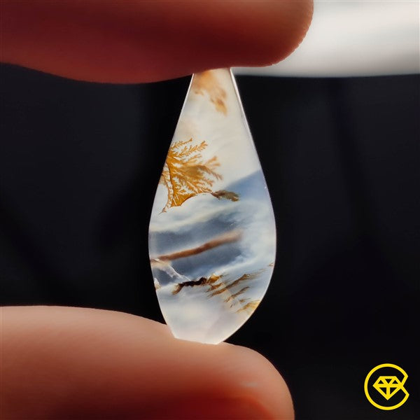 Scenic Agate
