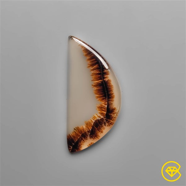 Scenic Agate