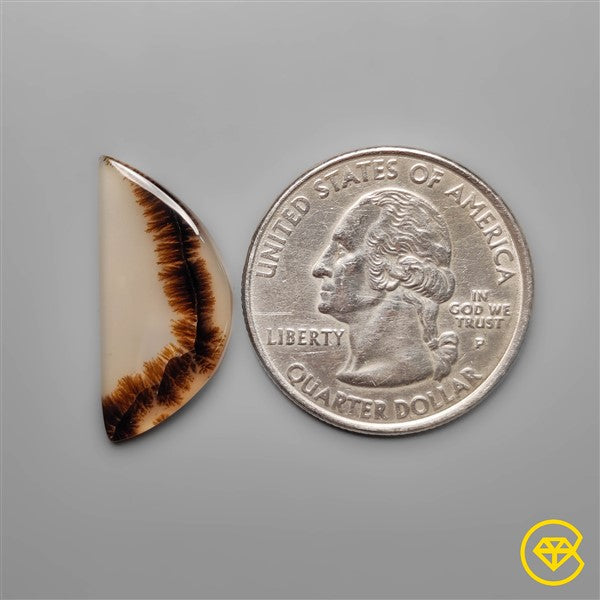 Scenic Agate