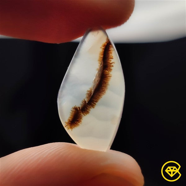 Scenic Agate