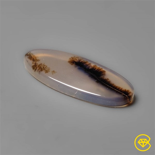 Scenic Agate