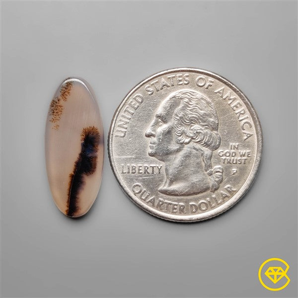 Scenic Agate