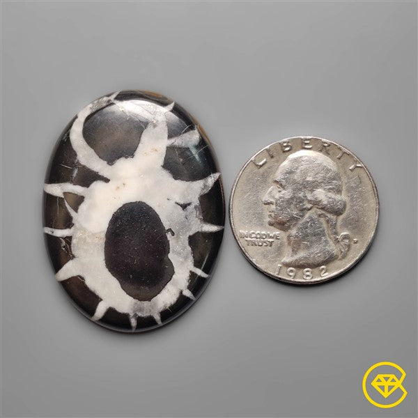 Septarian