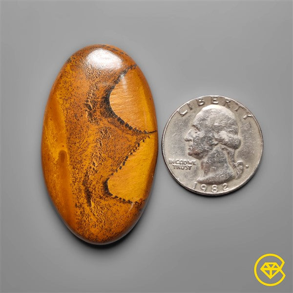 Tiger Eye