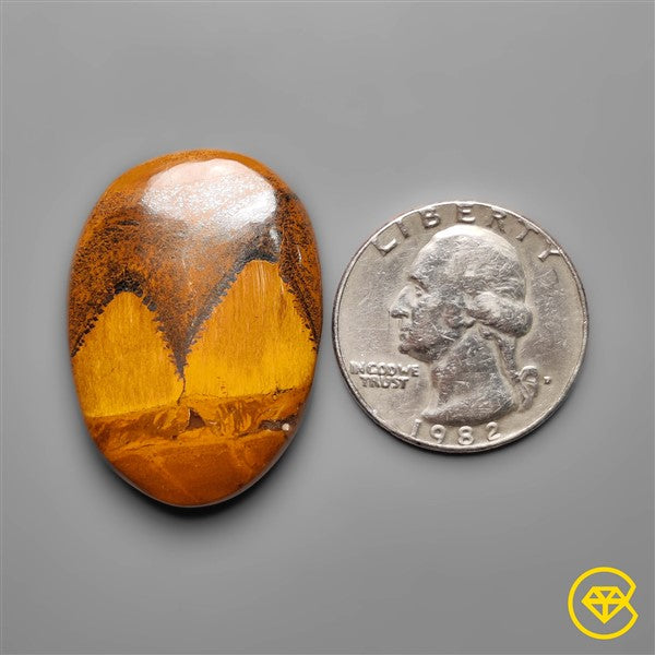 Tiger Eye