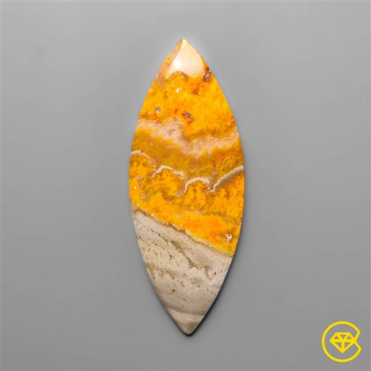 Bumble Bee Jasper