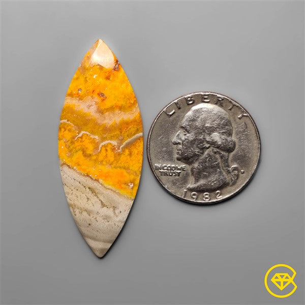 Bumble Bee Jasper