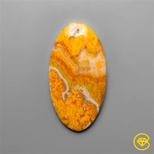 Bumble Bee Jasper