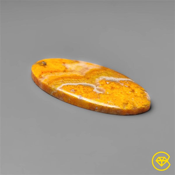 Bumble Bee Jasper