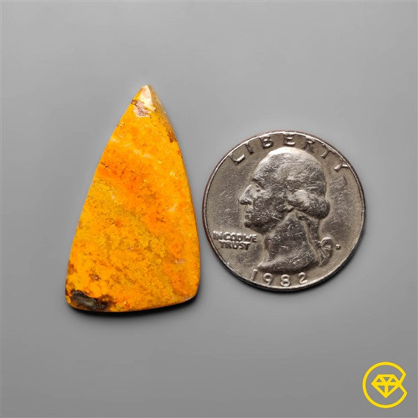 Bumble Bee Jasper
