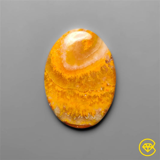 Bumble Bee Jasper